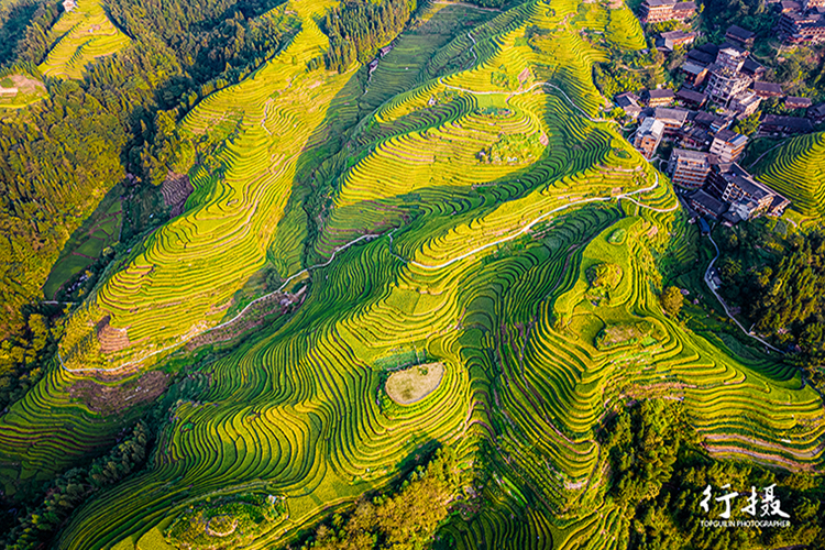 Guilin Longji Rice Terraced Fields Sunrise and Sunset