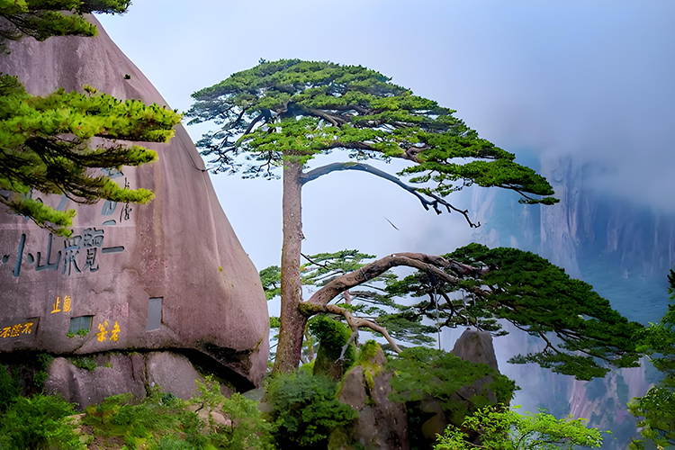 Huangshan’s Sea of Clouds (Anhui) 