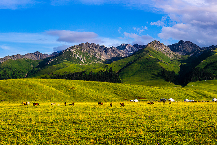 Xinjiang Nalati Photography