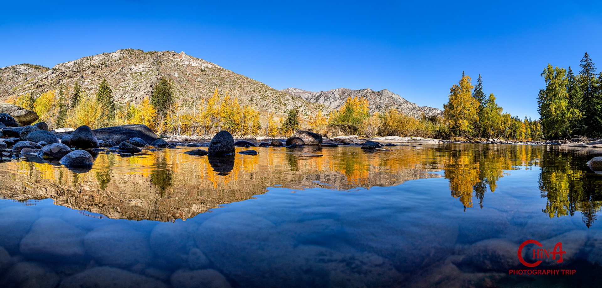Wide autumn reflection of larch forest and rock in a still Koktokai lake at low sun