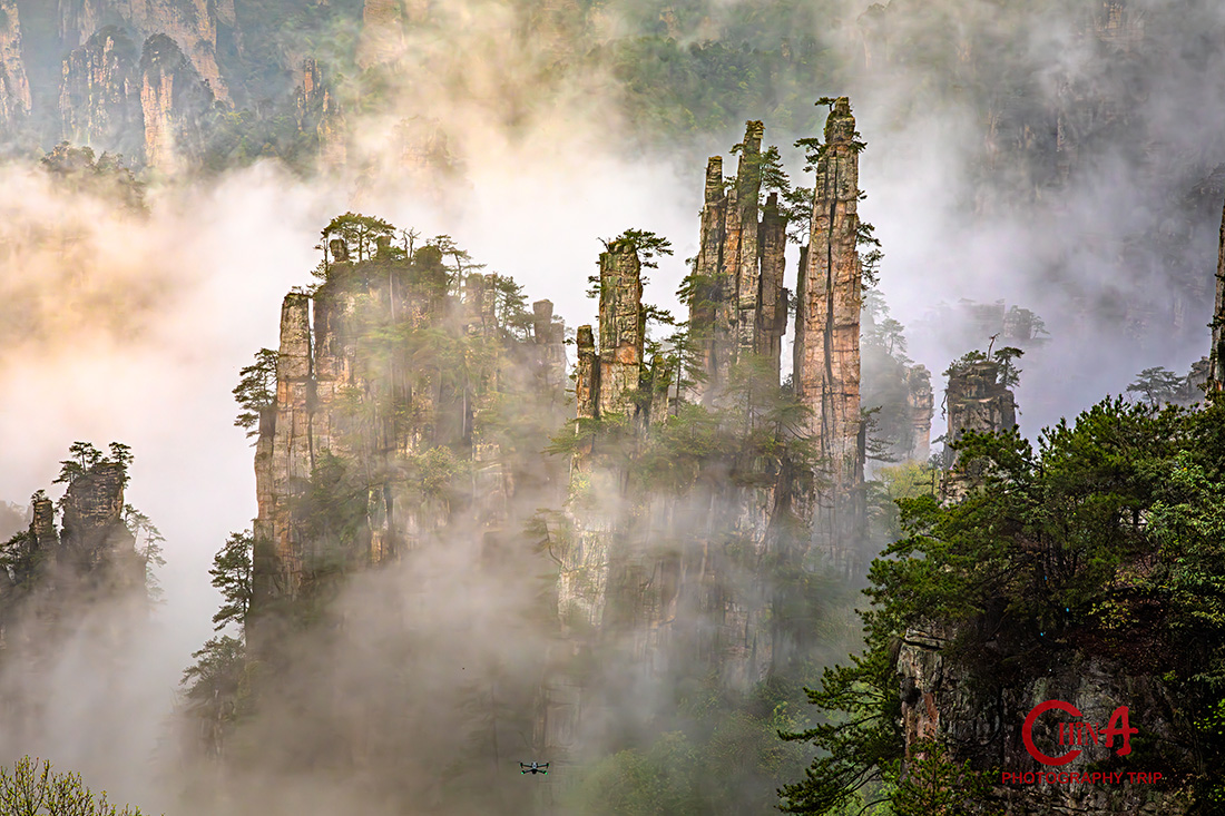 Zhangjiajie sandstone pillars rising out of a white sea of cloud